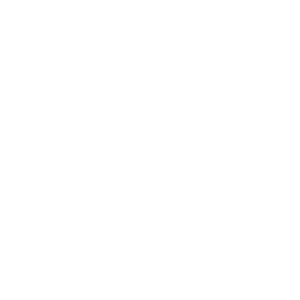 Revibed Vinyl